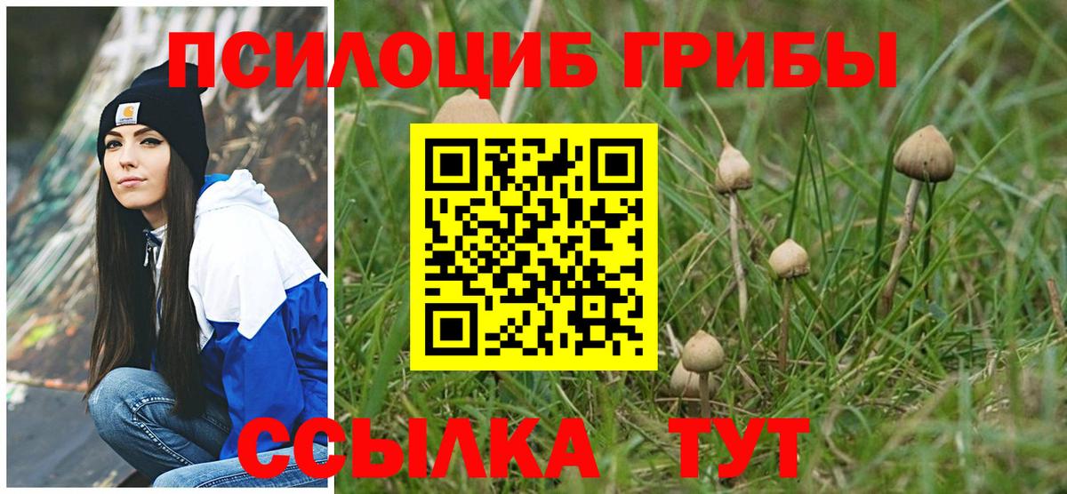 Псилоцибиновые грибы ЛСД  продажа наркотиков  Бирск  Вход с VPN 